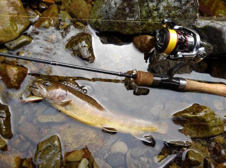 渓流ミノーイング